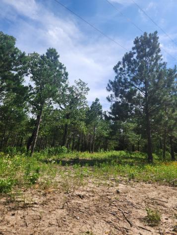 124 Paintbrush Lane Bastrop TX 78602