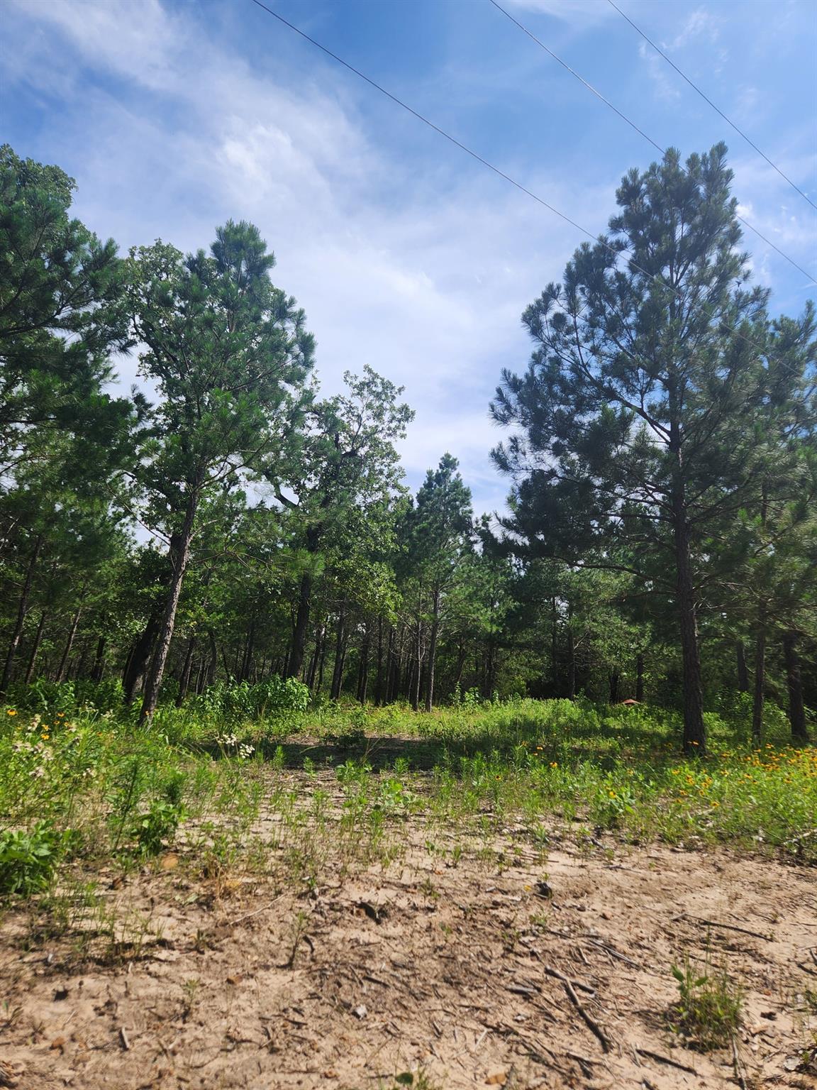 124 Paintbrush Lane Bastrop TX 78602