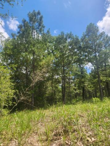 124 Paintbrush Lane Bastrop TX 78602