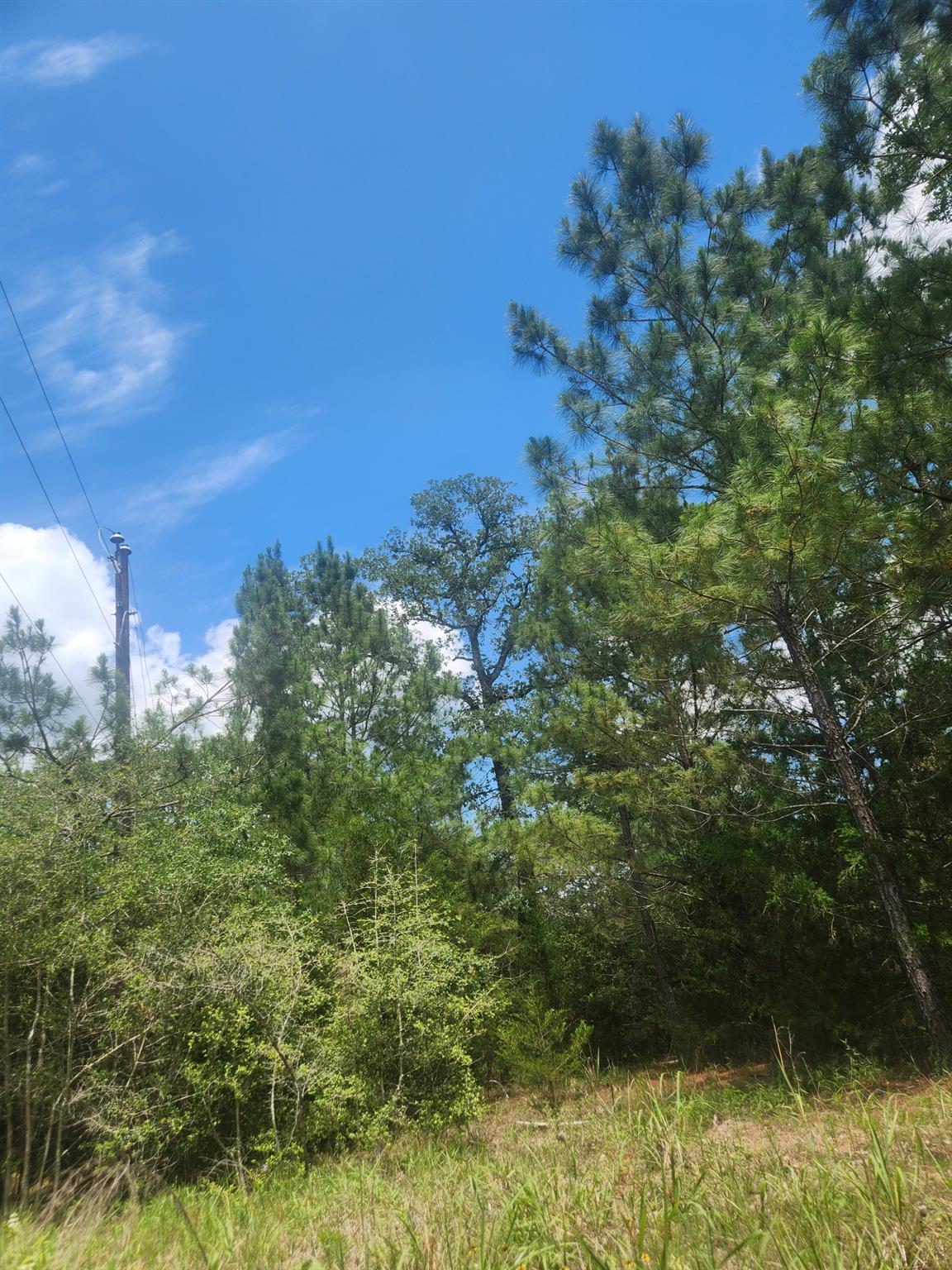 124 Paintbrush Lane Bastrop TX 78602