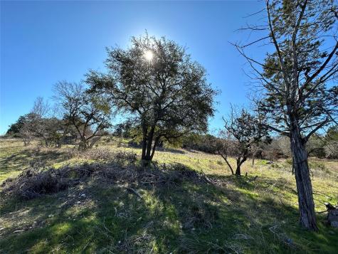 9860 Hodge Canyon Drive Salado TX 76571