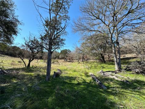 9860 Hodge Canyon Drive Salado TX 76571