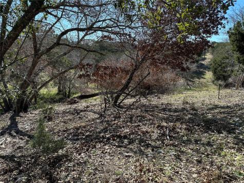 9860 Hodge Canyon Drive Salado TX 76571