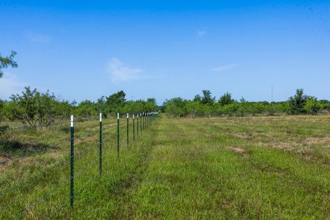 Tract 3 Tbd Lcr 392 Groesbeck TX 76642