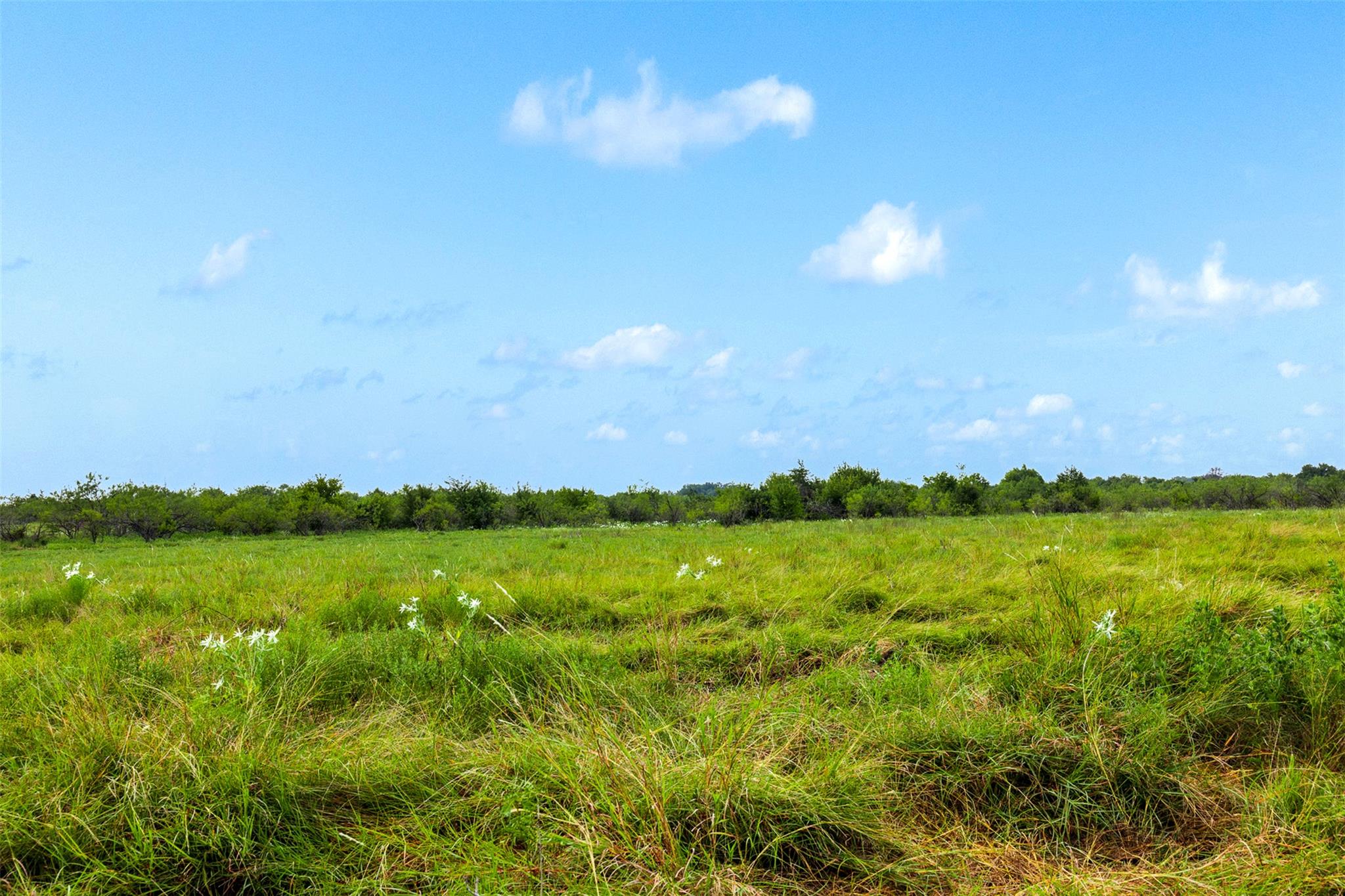 Tract 3 Tbd Lcr 392 Groesbeck TX 76642