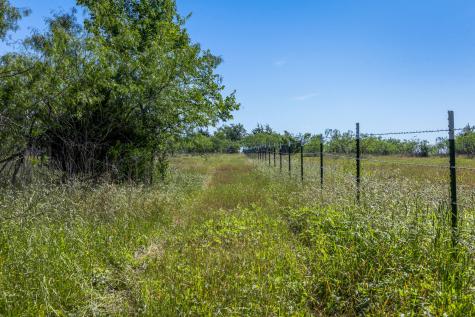 Tract 3 Tbd Lcr 392 Groesbeck TX 76642