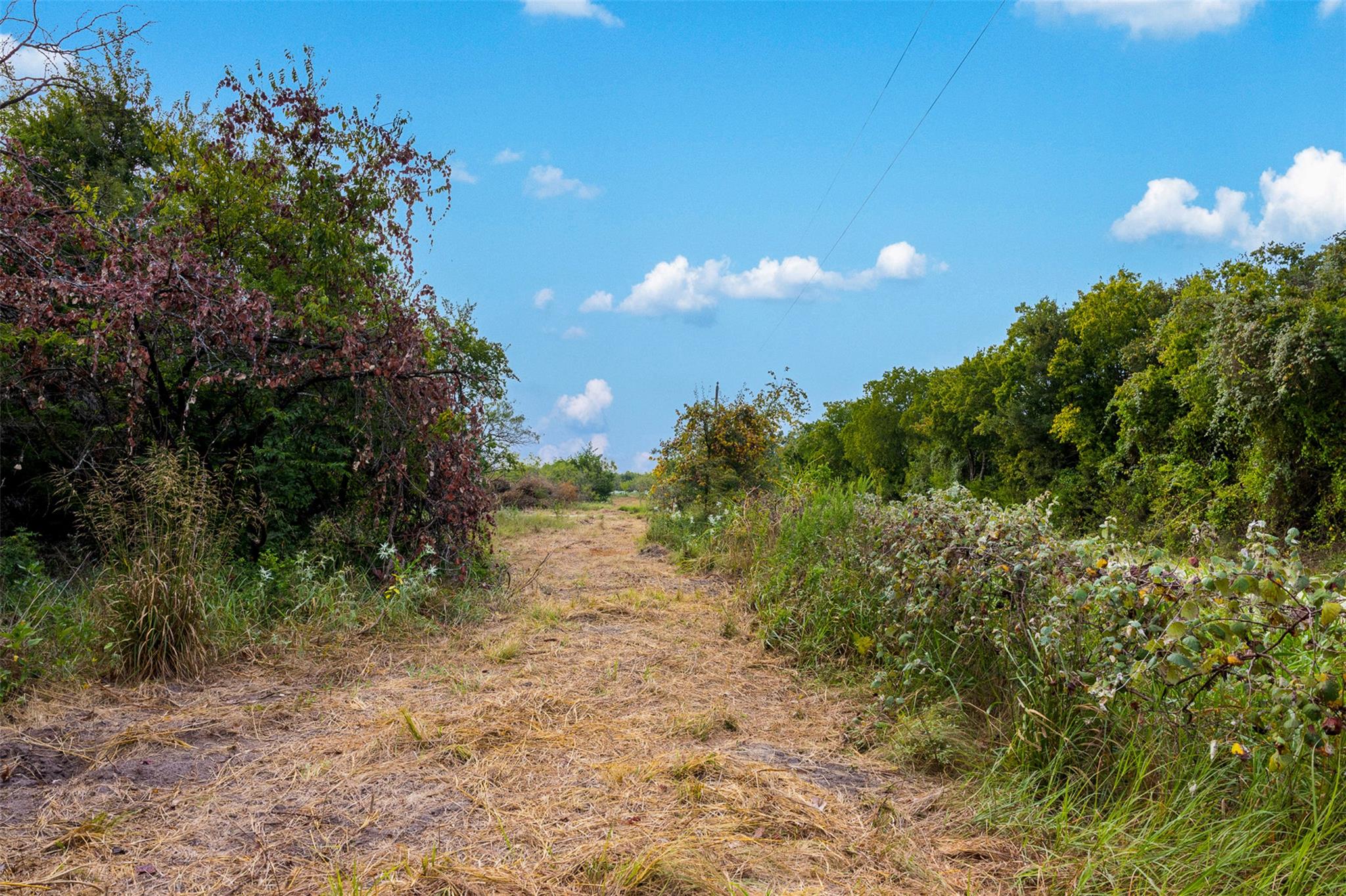 Tract 3 Tbd Lcr 392 Groesbeck TX 76642