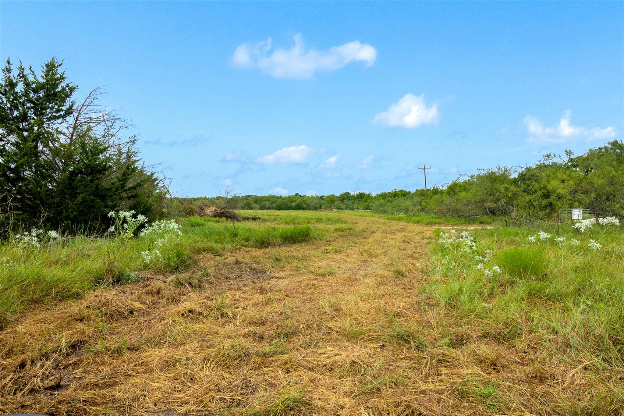 Tract 3 Tbd Lcr 392 Groesbeck TX 76642