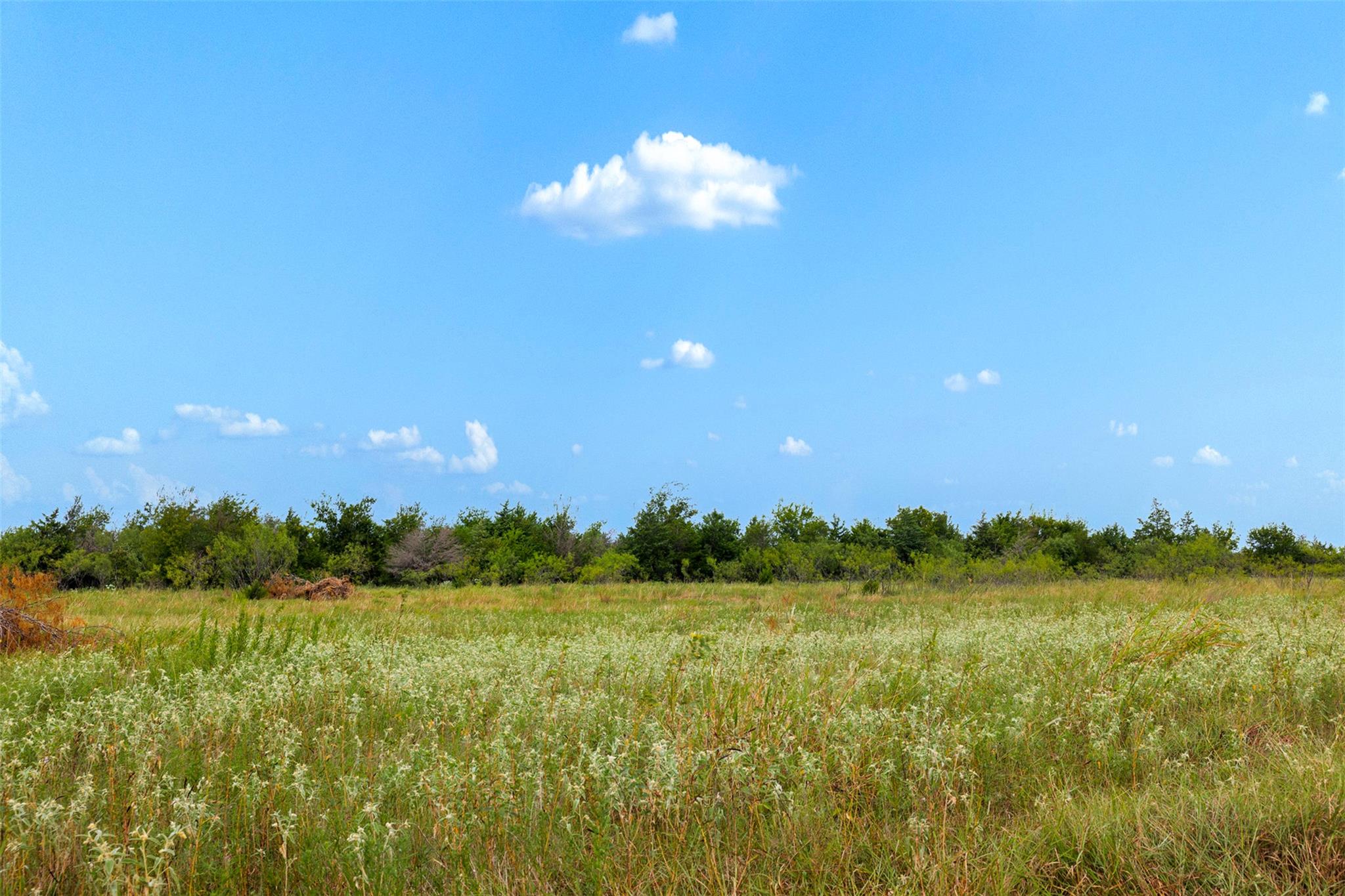 Tract 3 Tbd Lcr 392 Groesbeck TX 76642