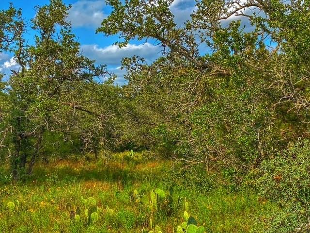 0000 Cr 296 Richland Springs TX 78761