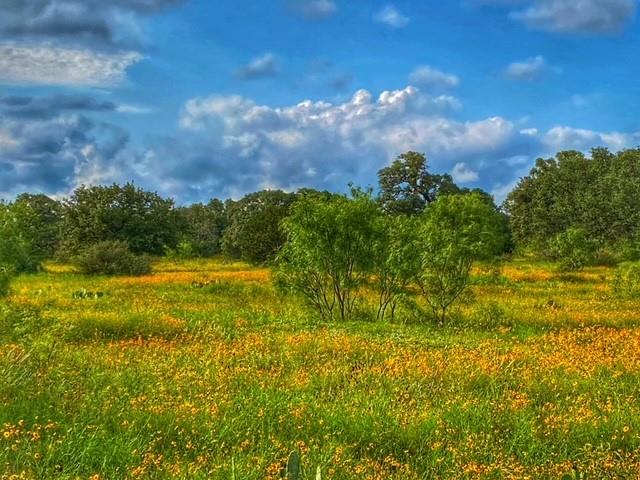 0000 Cr 296 Richland Springs TX 78761