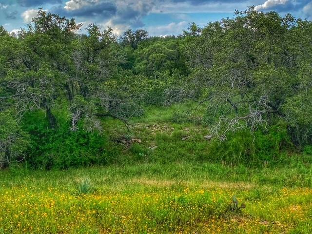 0000 Cr 296 Richland Springs TX 78761