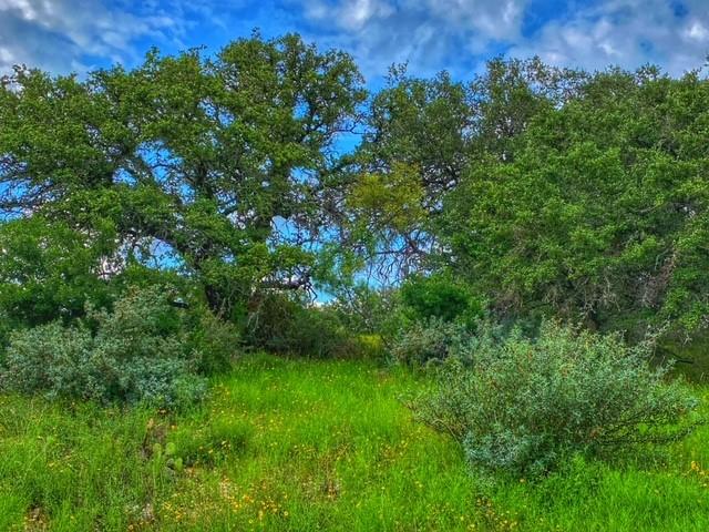 0000 Cr 296 Richland Springs TX 78761