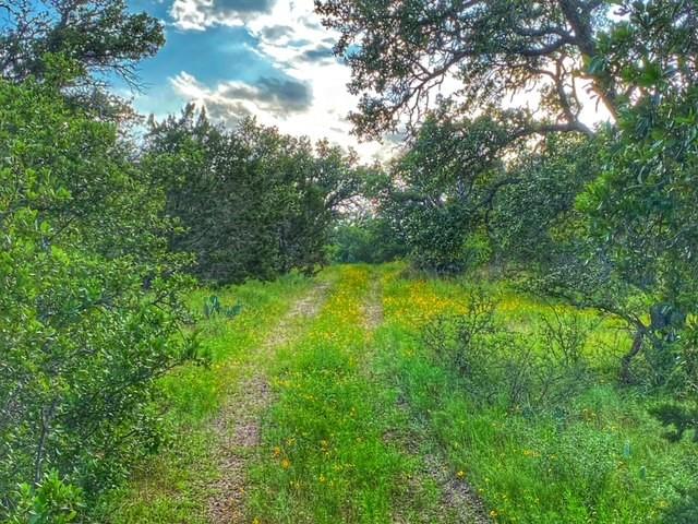 0000 Cr 296 Richland Springs TX 78761