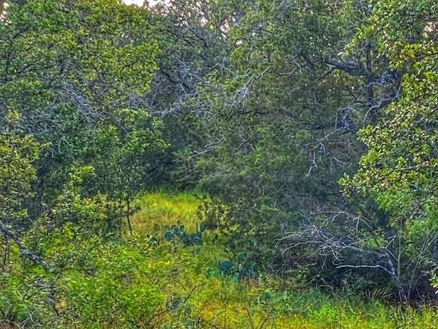 0000 Cr 296 Richland Springs TX 78761
