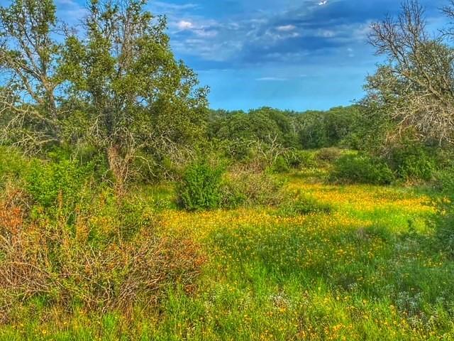0000 Cr 296 Richland Springs TX 78761