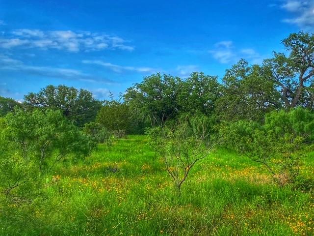 0000 Cr 296 Richland Springs TX 78761