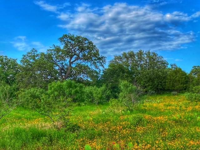0000 Cr 296 Richland Springs TX 78761