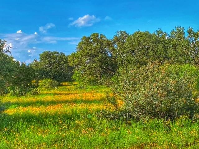 0000 Cr 296 Richland Springs TX 78761
