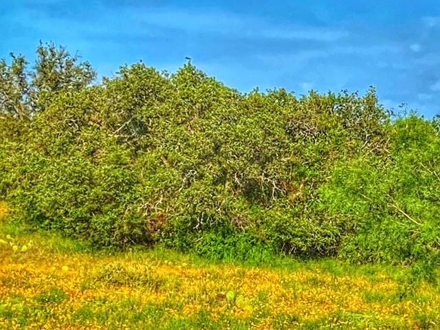0000 Cr 296 Richland Springs TX 78761
