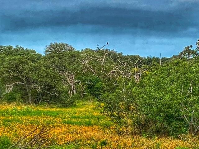0000 Cr 296 Richland Springs TX 78761