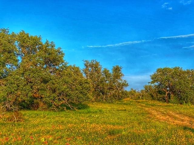 0000 Cr 296 Richland Springs TX 78761