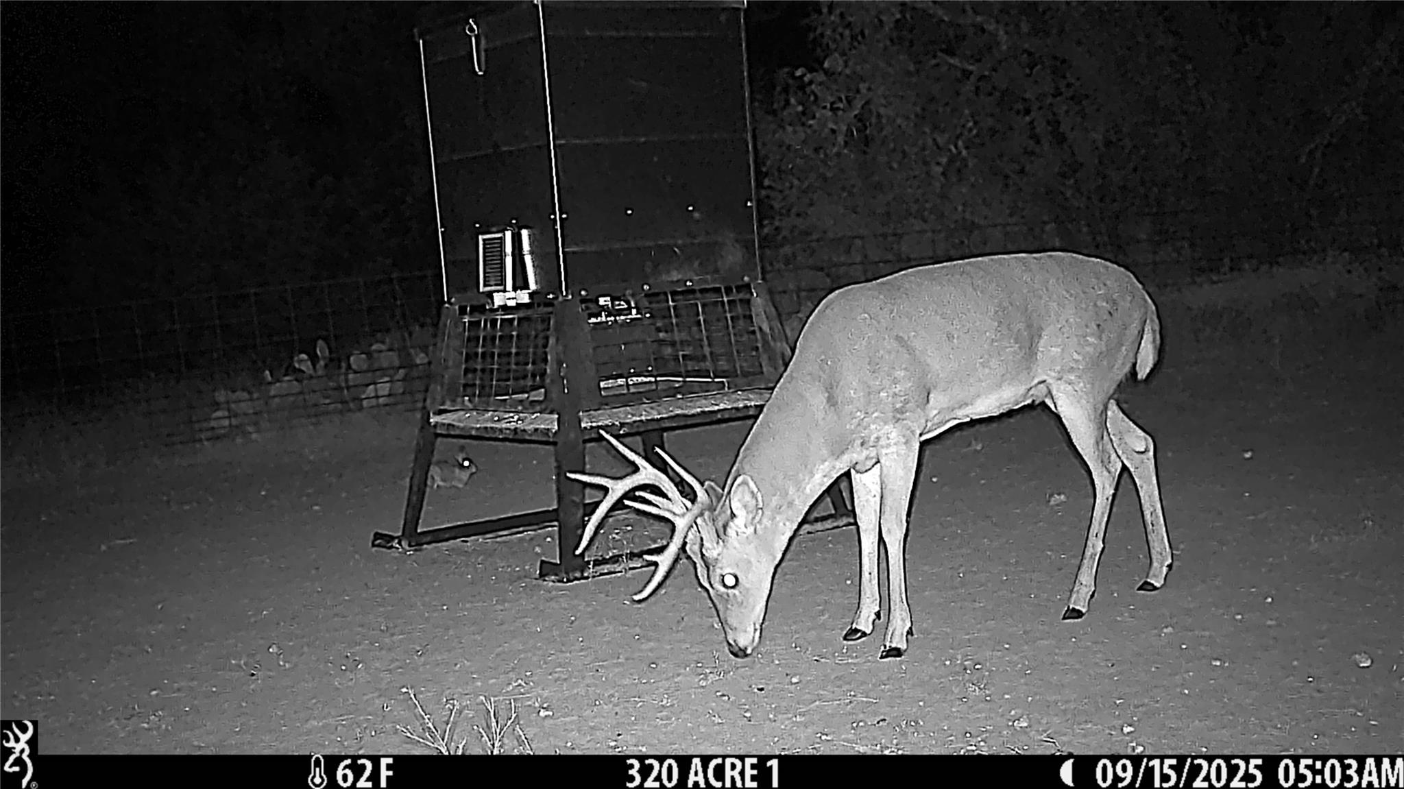 0000 Cr 296 Richland Springs TX 78761