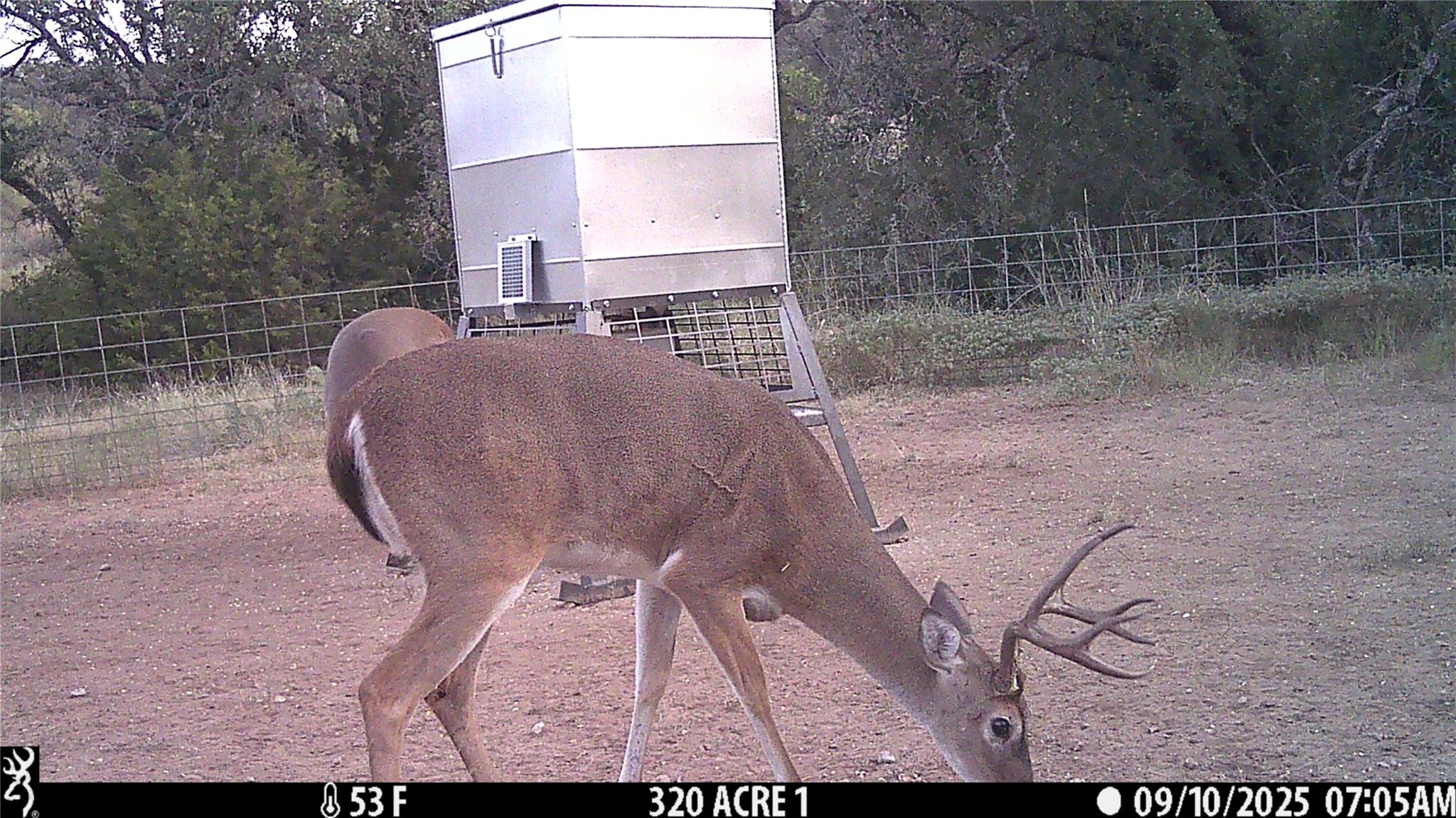 0000 Cr 296 Richland Springs TX 78761