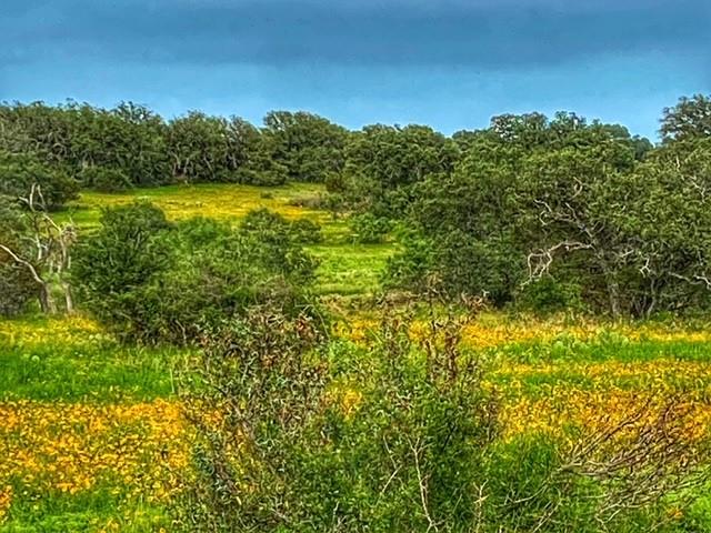 0000 Cr 296 Richland Springs TX 78761