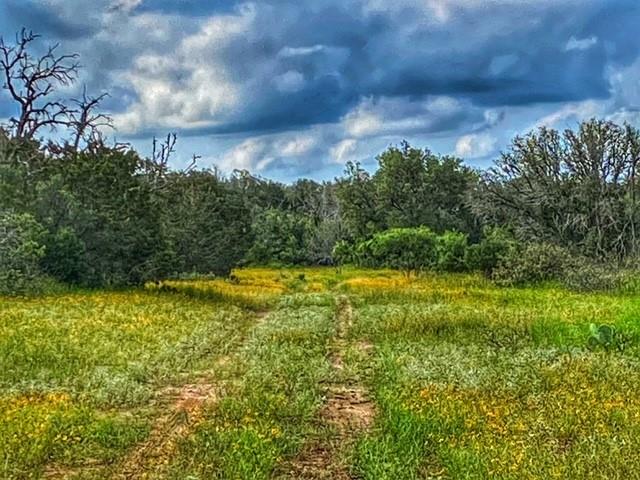 0000 Cr 296 Richland Springs TX 78761