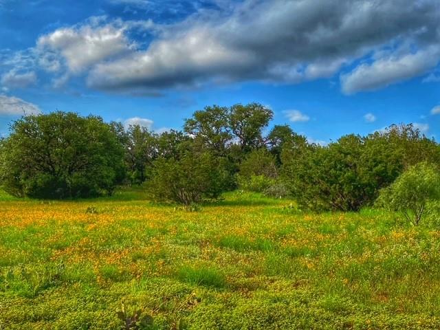 0000 Cr 296 Richland Springs TX 78761