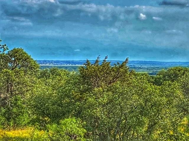 0000 Cr 296 Richland Springs TX 78761