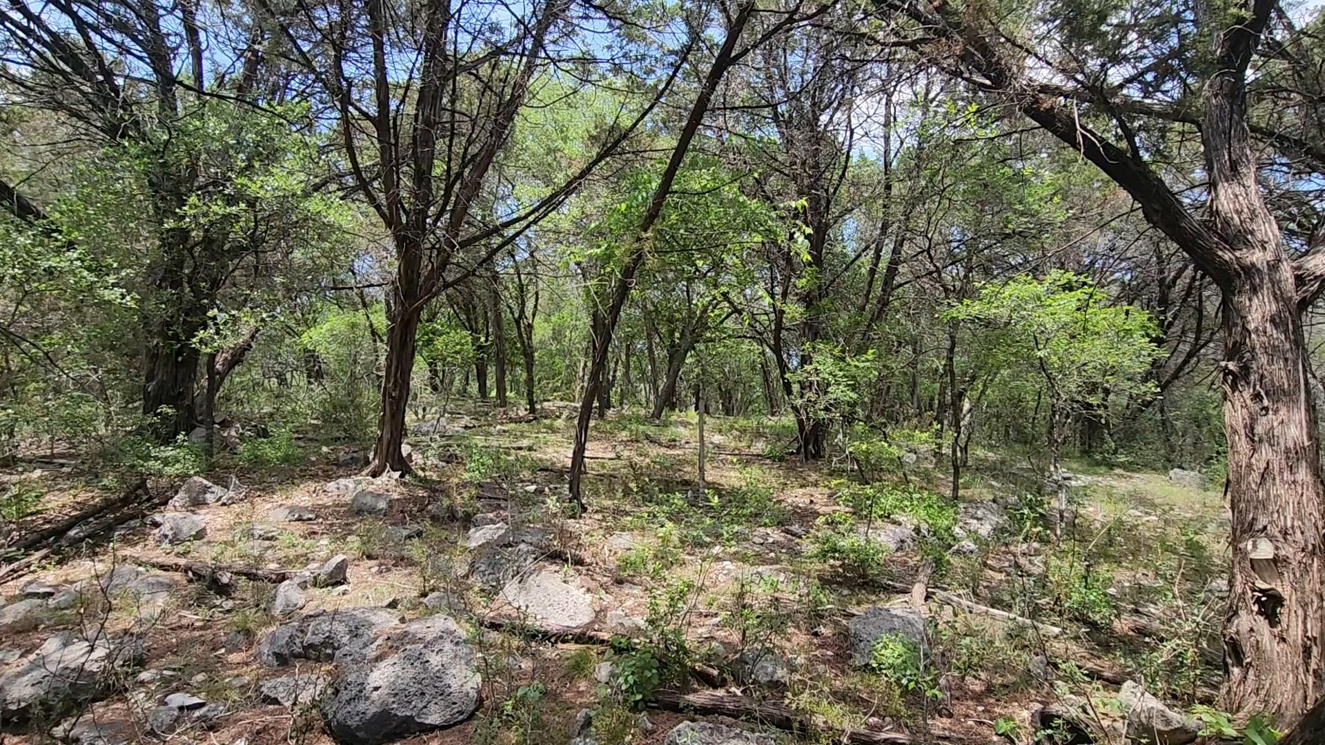 410 Owl Hollow Road San Marcos TX 78666