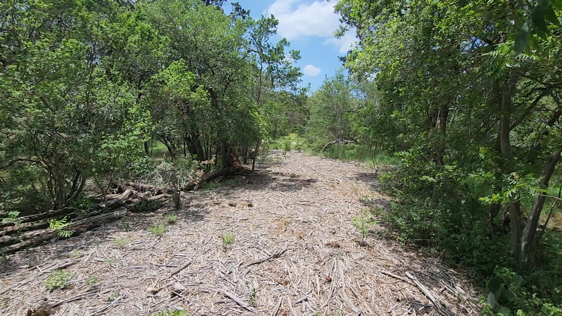 410 Owl Hollow Road San Marcos TX 78666