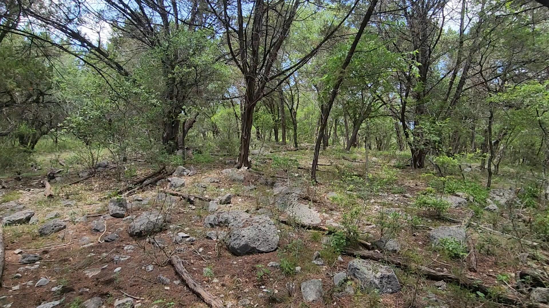 410 Owl Hollow Road San Marcos TX 78666