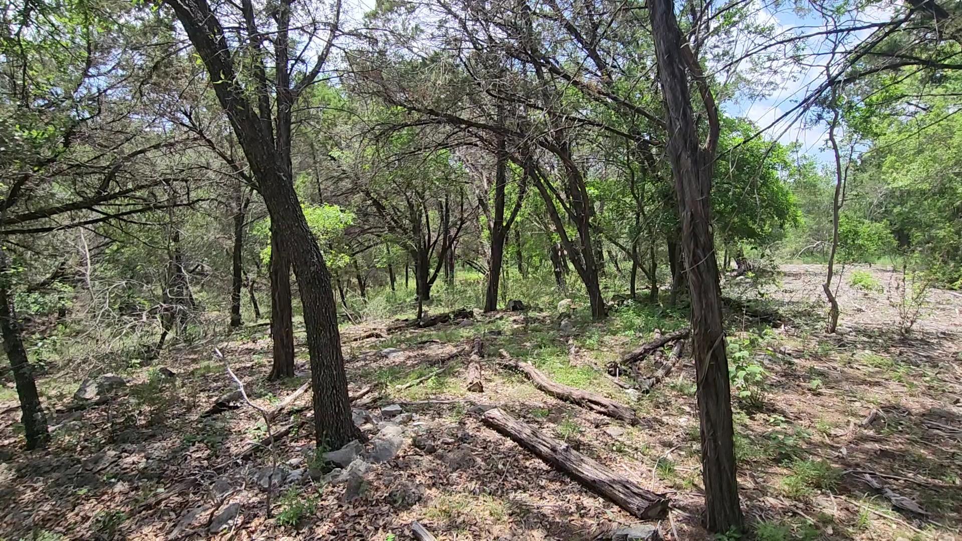 410 Owl Hollow Road San Marcos TX 78666