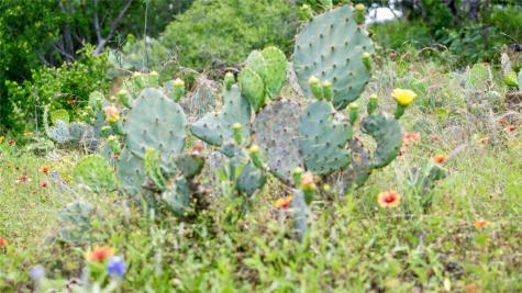 Lot Mce 2-a Chestnut Crossing Burnet TX 78611