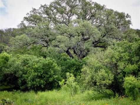 Lot Mce 2-a Chestnut Crossing Burnet TX 78611