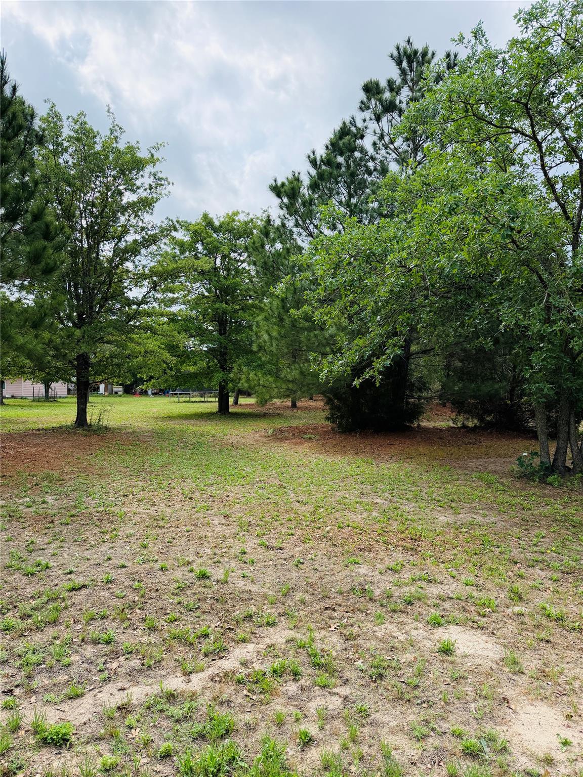 Tbd Buckhorn Drive Bastrop TX 78602