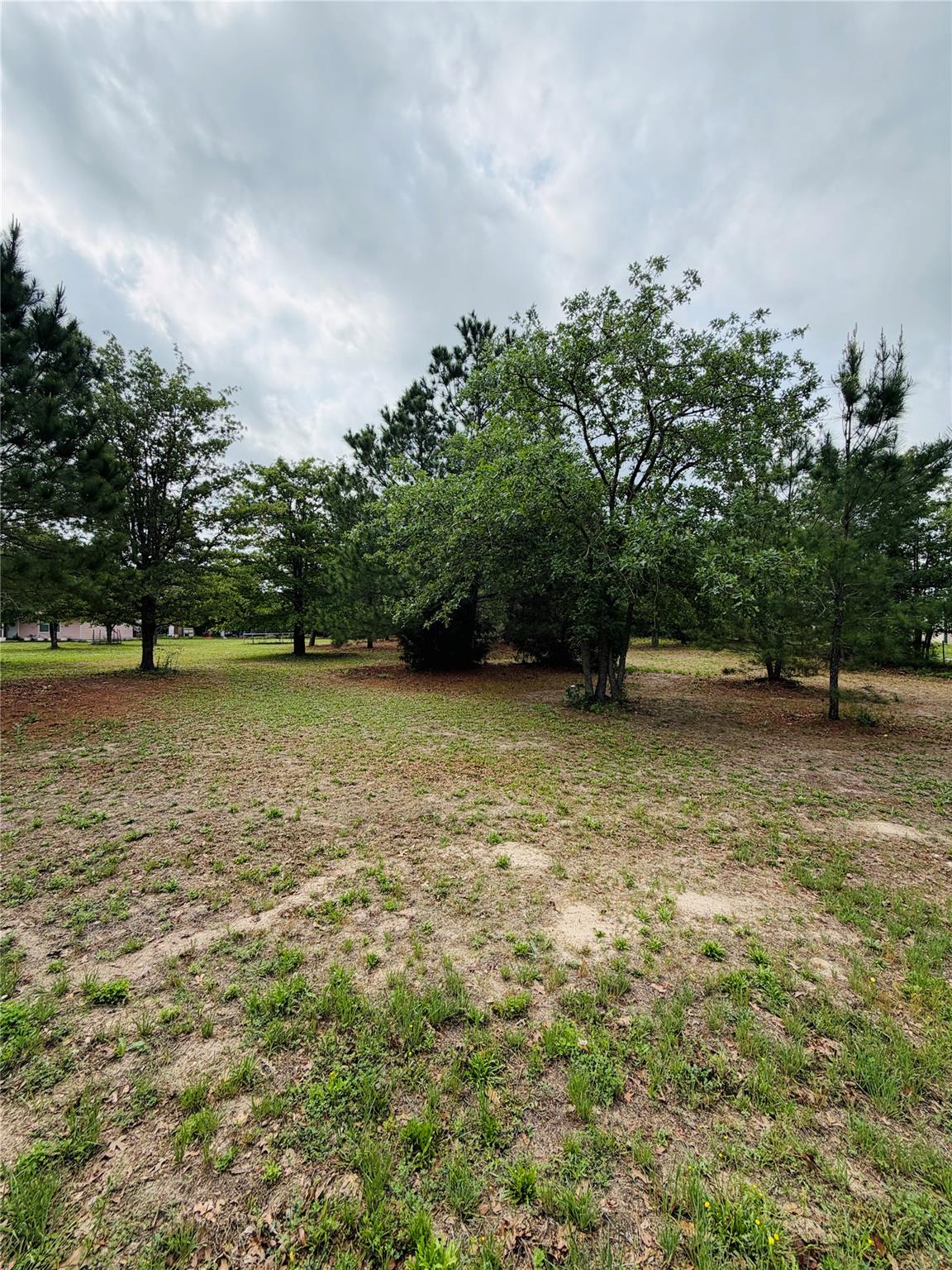 Tbd Buckhorn Drive Bastrop TX 78602