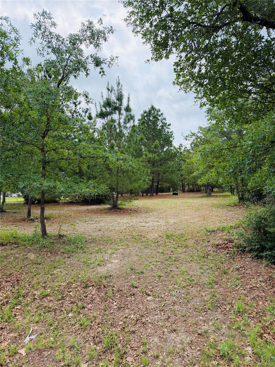 Tbd Buckhorn Drive Bastrop TX 78602