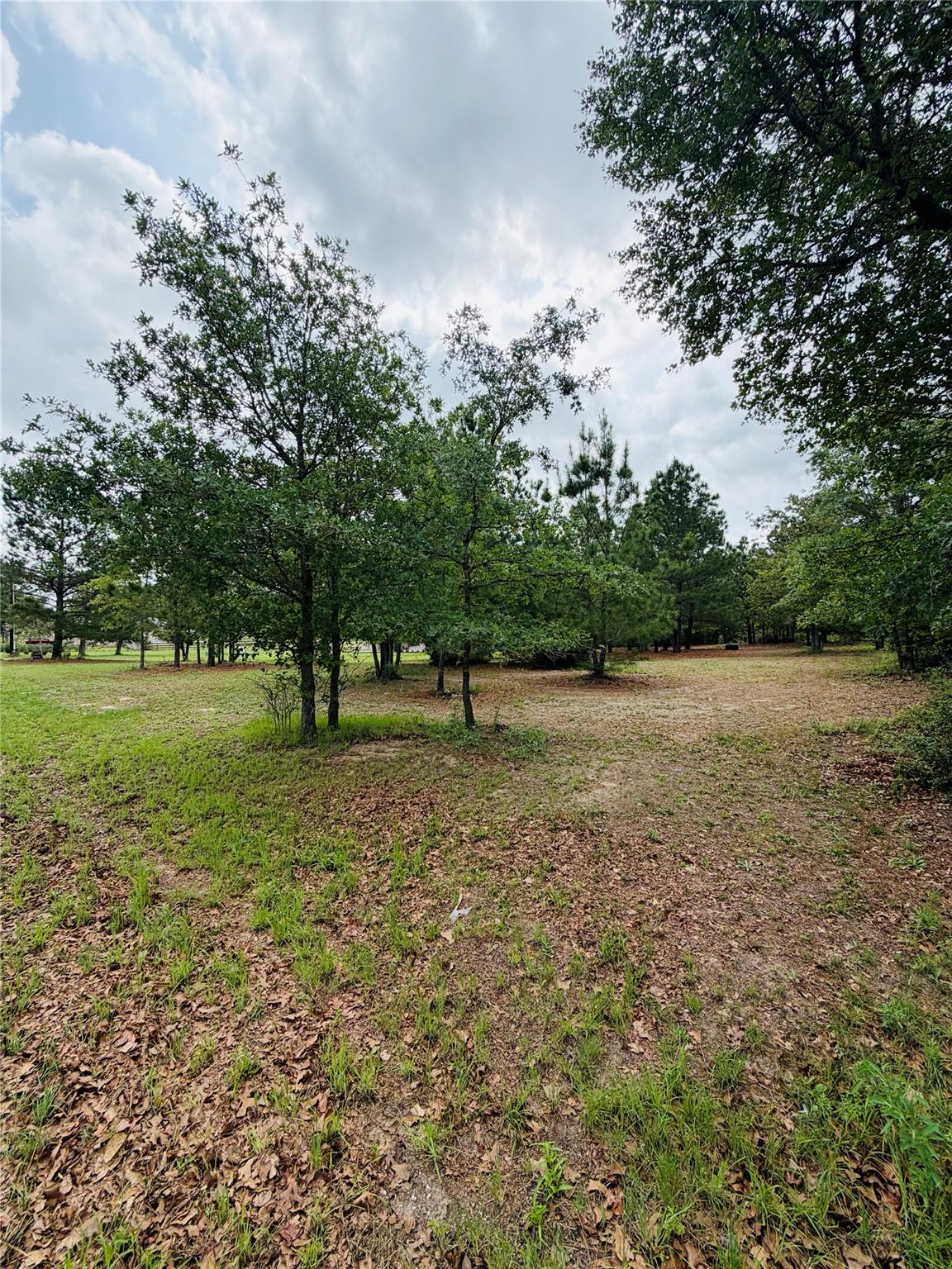 Tbd Buckhorn Drive Bastrop TX 78602
