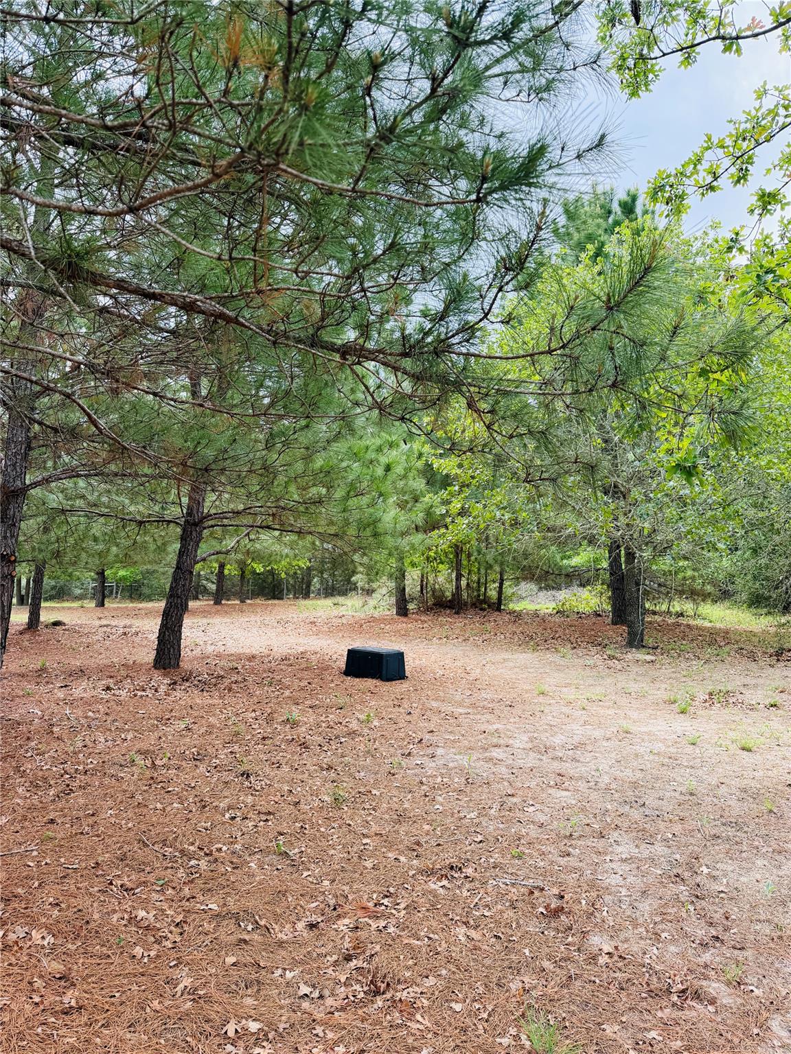 Tbd Buckhorn Drive Bastrop TX 78602