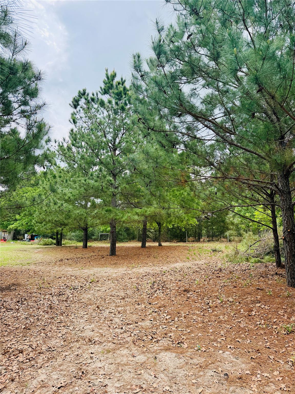 Tbd Buckhorn Drive Bastrop TX 78602