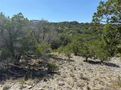 917 Roy Creek Trail Dripping Springs TX 78620