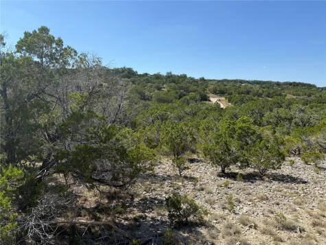 917 Roy Creek Trail Dripping Springs TX 78620