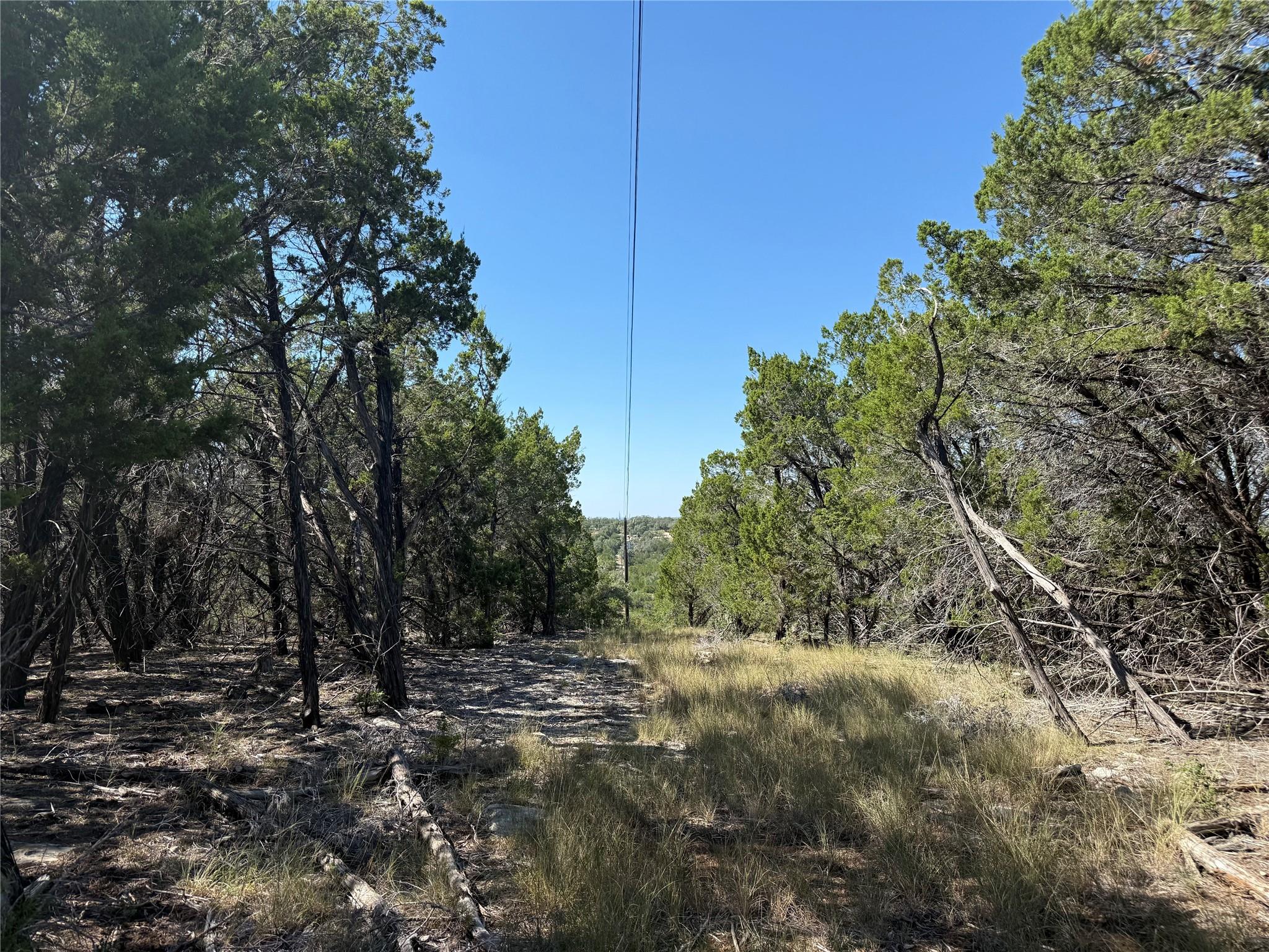 917 Roy Creek Trail Dripping Springs TX 78620