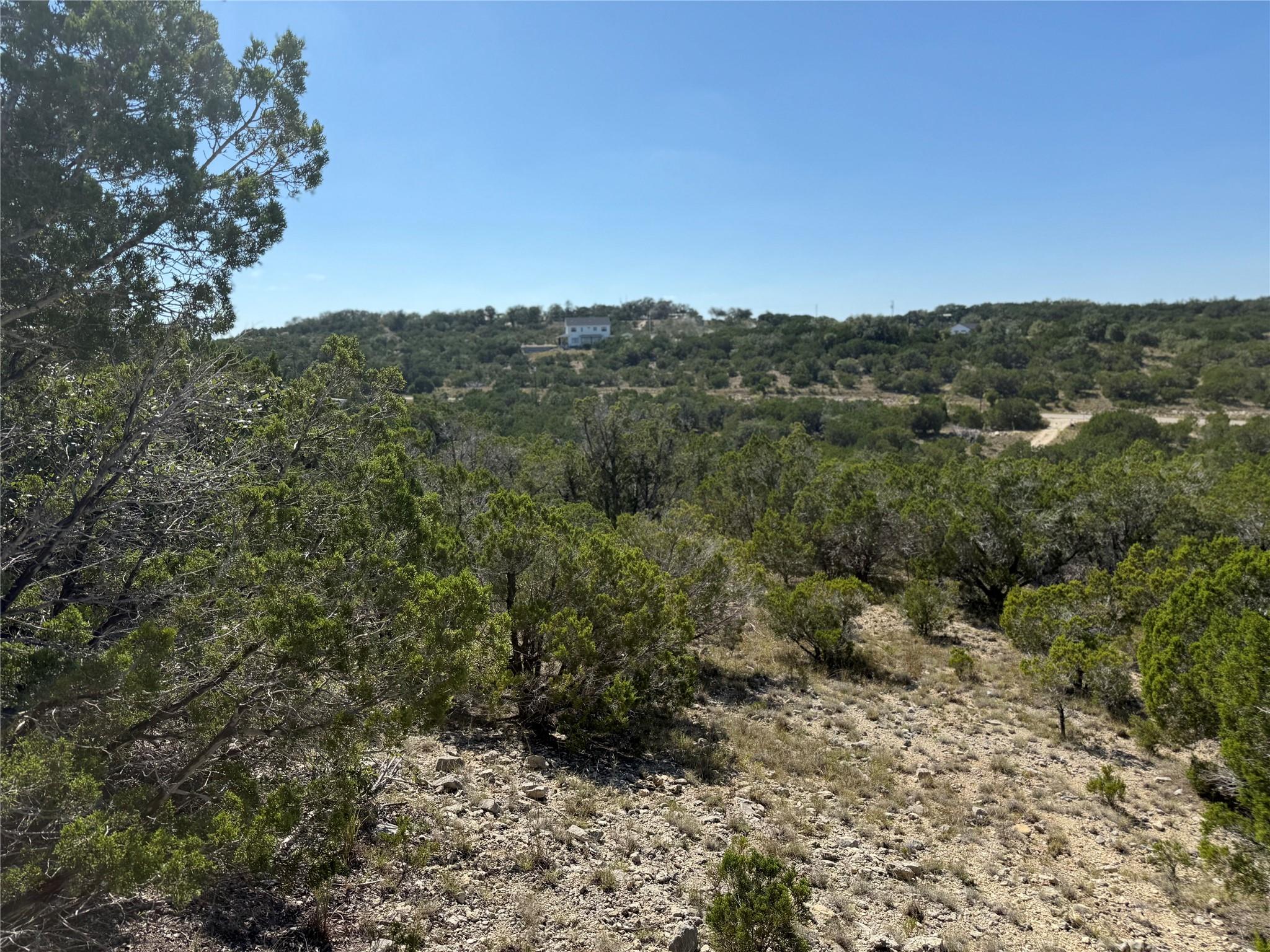 917 Roy Creek Trail Dripping Springs TX 78620
