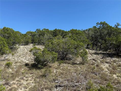 917 Roy Creek Trail Dripping Springs TX 78620