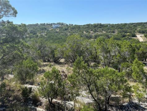 917 Roy Creek Trail Dripping Springs TX 78620